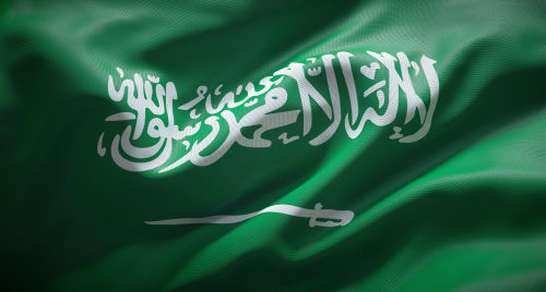 Saudi Arabia Portal